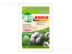 ������֦�����-��������