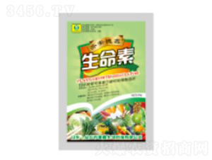 25g������-��������