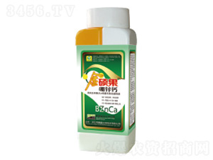 ���\�}�~���-��T��-��������