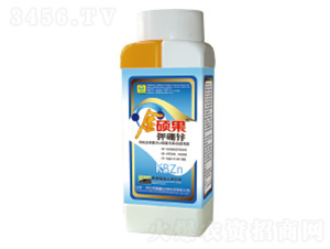 ����\�~���-��T��-��������