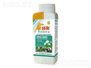 �޻���֦�����-��T��-��������