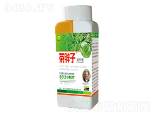 �������~���-��������