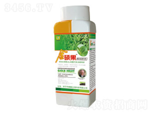 ��T���~���-��������