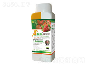 �ѹ����ý�T���~���-��������