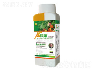 ���ߌ��ý�T���~���-��������