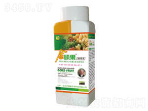 ���䌣�ý�T���~���-��������