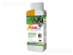 ���ӌ��ý�T���~���-��������