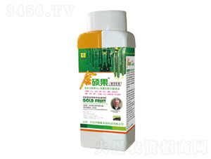 �S�ό��ý�T���~���-��������