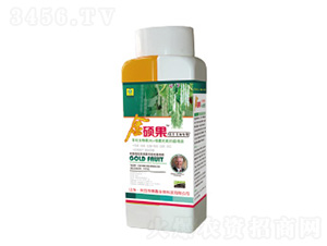 ���ǌ��ý�T���~���-��������