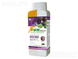 ���ь��ý�T���~���-��������