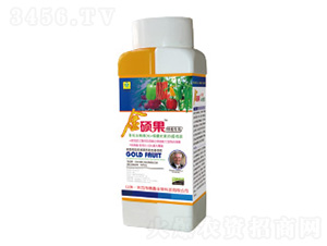 �߲ˌ��ý�T���~���-��������