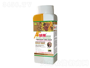 ��������ý�T���~���-��������