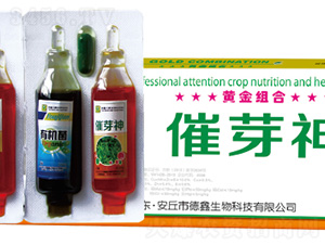 �S��M��-��ѿ��-��������