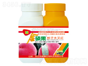 ���Ӵ��ּt-��T��-��������