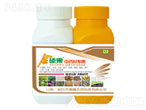 ��ˎ�Č���-��T��-��������