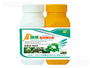 �޻������-��T��-��������