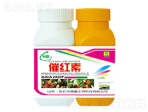 �߼t��-��������