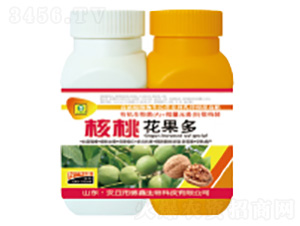 ���һ�����-��������