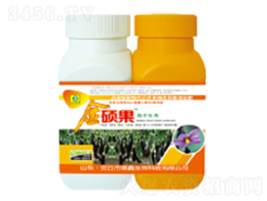 ���ӌ����~���-��T��-��������