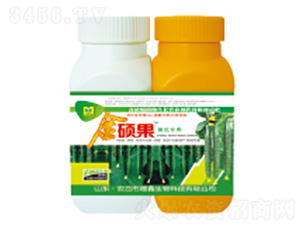 �S�ό����~���-��T��-��������