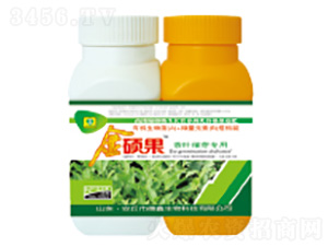 ���~��ѿ�����~���-��T��-��������