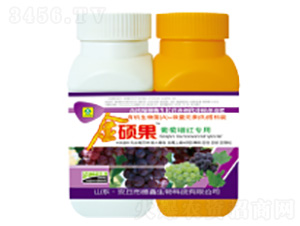 �������t�����~���-��T��-��������