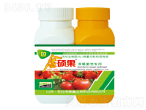 �W����������~���-��T��-��������