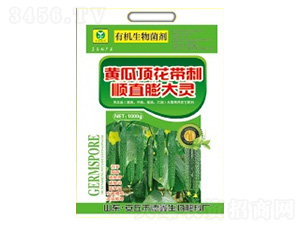 �S��픻������ֱ����`-��������