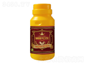 ����������~���-��������