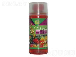 �������~���-��������