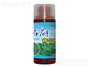 ʯ�����A��-��������