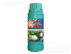 ����\-��������