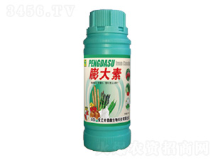 �����-��������