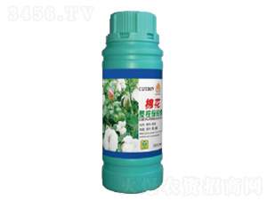 �޻���֦�����-��������