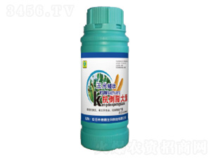 ���װ��ѿ��������-��������