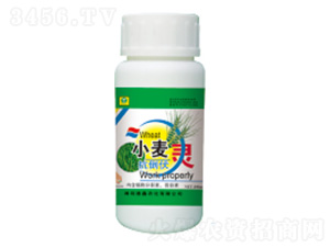 С���������`-��������