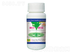 �S�~һ���G-��������