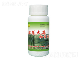 �²˴����̦��-��������