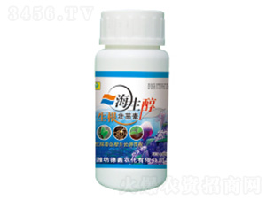 ����������-���S��-��������