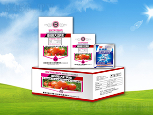 �������t����-���ؠ��r(n��ng)��