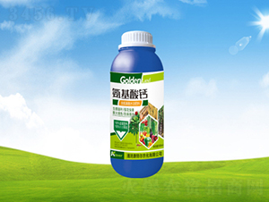 �������}�~���-���ؠ��r(n��ng)��