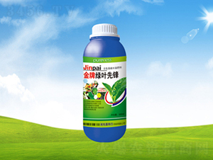 �G�~���h�~���-���ؠ��r(n��ng)��