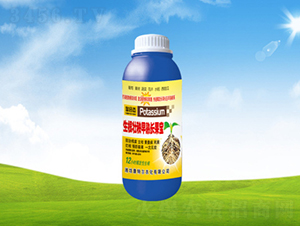 �������������L����-���ؠ��r(n��ng)��