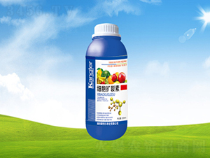 ��(x��)���U(ku��)����-���ؠ��r(n��ng)��