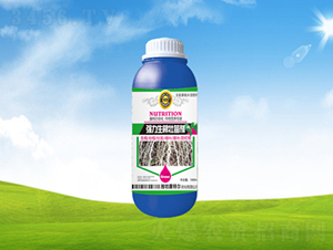 ƿ�b��(qi��ng)���������焩-���ؠ��r(n��ng)��