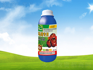 �R�㌣�þ�Ʒ�~���-���ؠ��r(n��ng)��