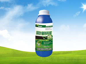 ���~��ѿ���h-���ؠ��r(n��ng)��