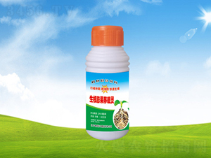 ������������`-���ؠ��r(n��ng)��