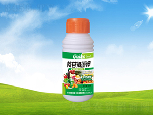 ���պ����-���ؠ��r(n��ng)��