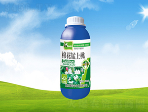 �޻�������-���ؠ��r(n��ng)��